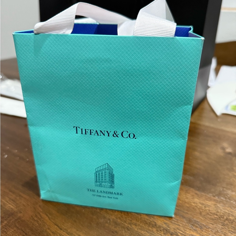 Tiffany & Co.The Landmark small Turquoise Shopping Bag